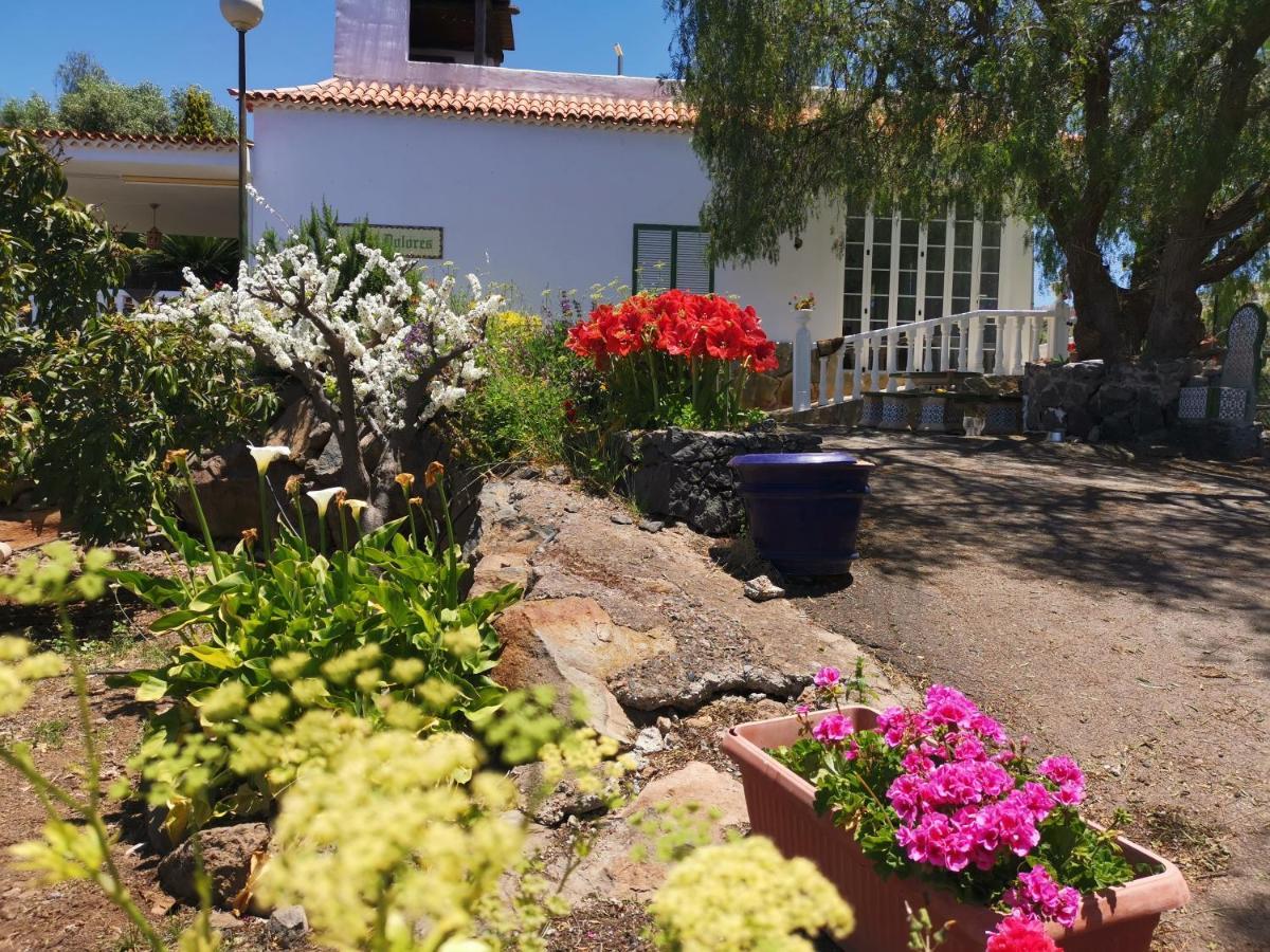 Casa Rural Dolores En Adeje Costa Adeje  Zewnętrze zdjęcie